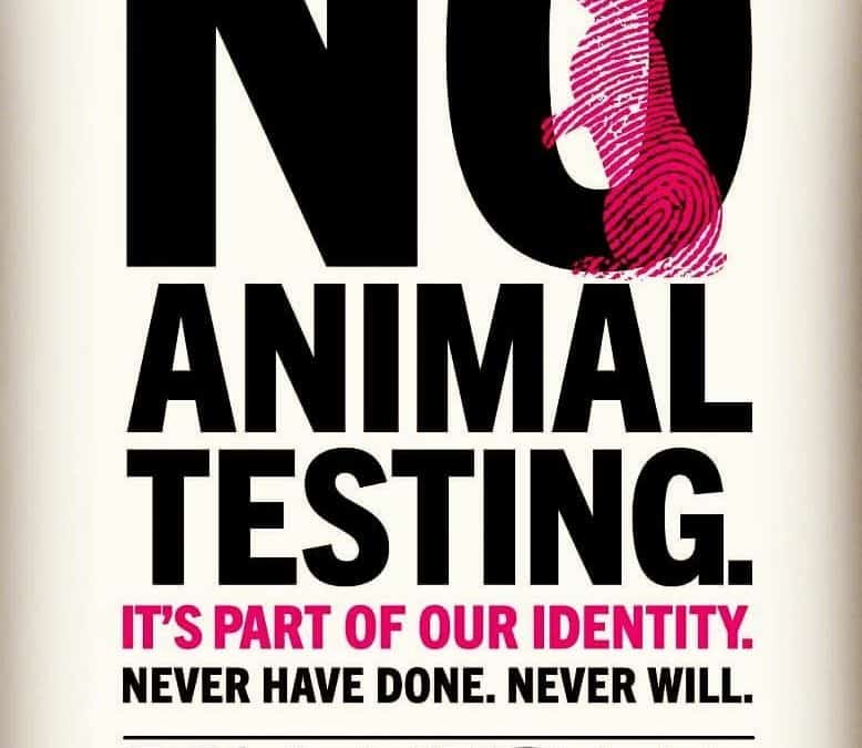 never have never will test on animals